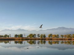 -野鸭湖国家湿地公园