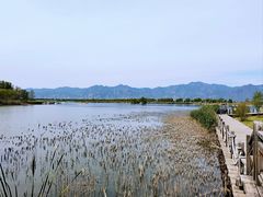 -野鸭湖国家湿地公园