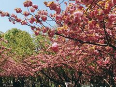 -苏州河梦清园环保主题公园