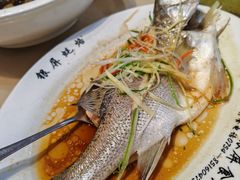 -百年银屏蚝烙·潮汕菜·非遗(乐山店)