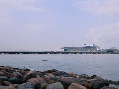 -吴淞炮台湾湿地森林公园烧烤区