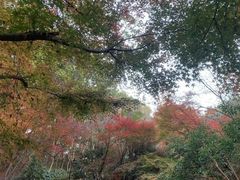 -杭州半山国家森林公园