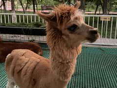 -水上乐园·欢乐世界