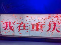-重庆欢乐海底世界