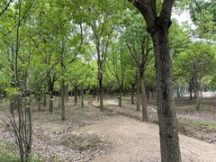 -嘉北郊野公园
