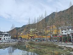 -九华山风景区