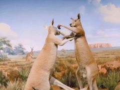 -陕西自然博物馆