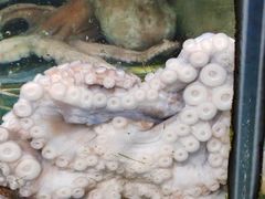 -范饭椰林川湘味海鲜·椰子鸡(三亚湾椰梦长廊店)