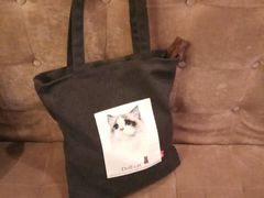 -猫咪博物馆(顶澳仔猫街店)