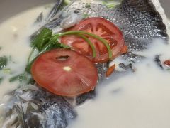 -全乐鱼馆·淳牌有机鱼直营店