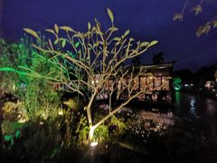 -花溪雨·森林餐厅(石基店)