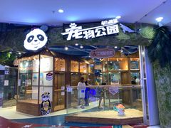 -龟与熊猫宠物公园(南坪店)