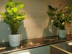 -蛙蛙叫干锅年代(簋街总店)