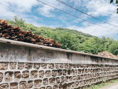 -上海佘山国家森林公园天马山园