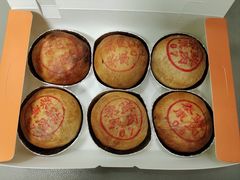 鲜肉月饼-泰康食品(南京东路店)