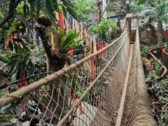 -正佳雨林生态植物园