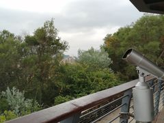 -牛岗山公园