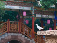 -宝墨园景区