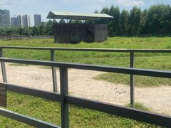 -东莞香市动物园