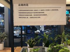 -MUJI无印良品(顺城店)