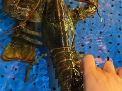 -十二海鲜(南湖店)