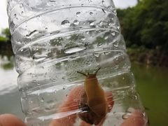 -陶祖圣境风景区