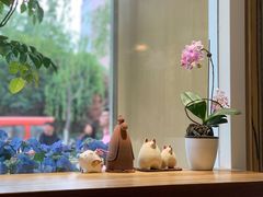 -琥珀咖啡 Ambercoffee