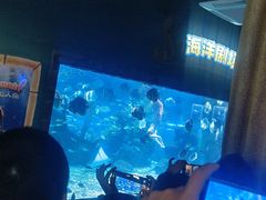 -南昌海洋公园