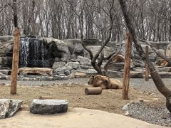 -北京野生动物园