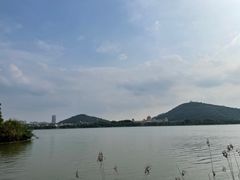 -顺峰山公园