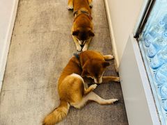 -三目仓咖啡(贤南路店)