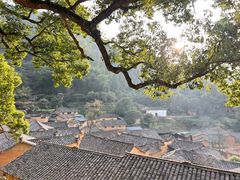 -杨家堂村