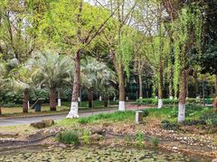 -苏州河梦清园环保主题公园