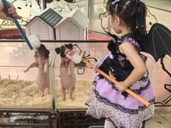 -史努比缤纷世界