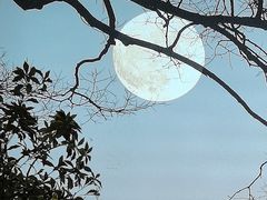 -新发现(苏州中心商场店)