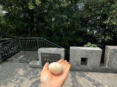 -紫金山山顶公园