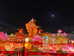 -北京石景山游乐园