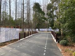 -东平国家森林公园