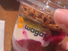 -Wagas沃歌斯(合生汇店)