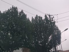-清真·老金烧烤·小龙虾(山大路店)