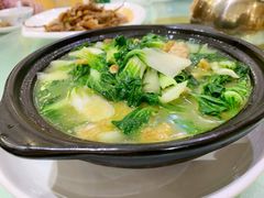 油炸炒青菜-善银私房菜馆(金舟花园小区店)