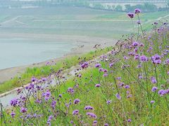 -石井坡(地铁站)