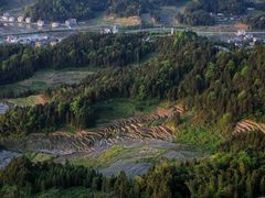 -紫鹊界梯田景区