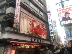 -蟹道乐(道顿堀本店)