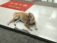 -袁记串串香(世欧王庄店)