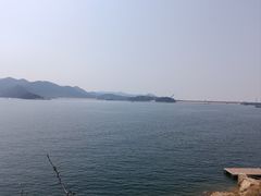 -望湖烤鱼