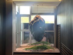 -映像威海·威海宴(威高广场店)