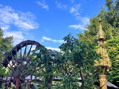 -品德宏·孔雀宴的发源地(金塔园店)