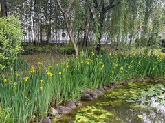-上海师范大学附属中学(三林校区)