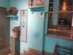 点击看大图 -金棕榈